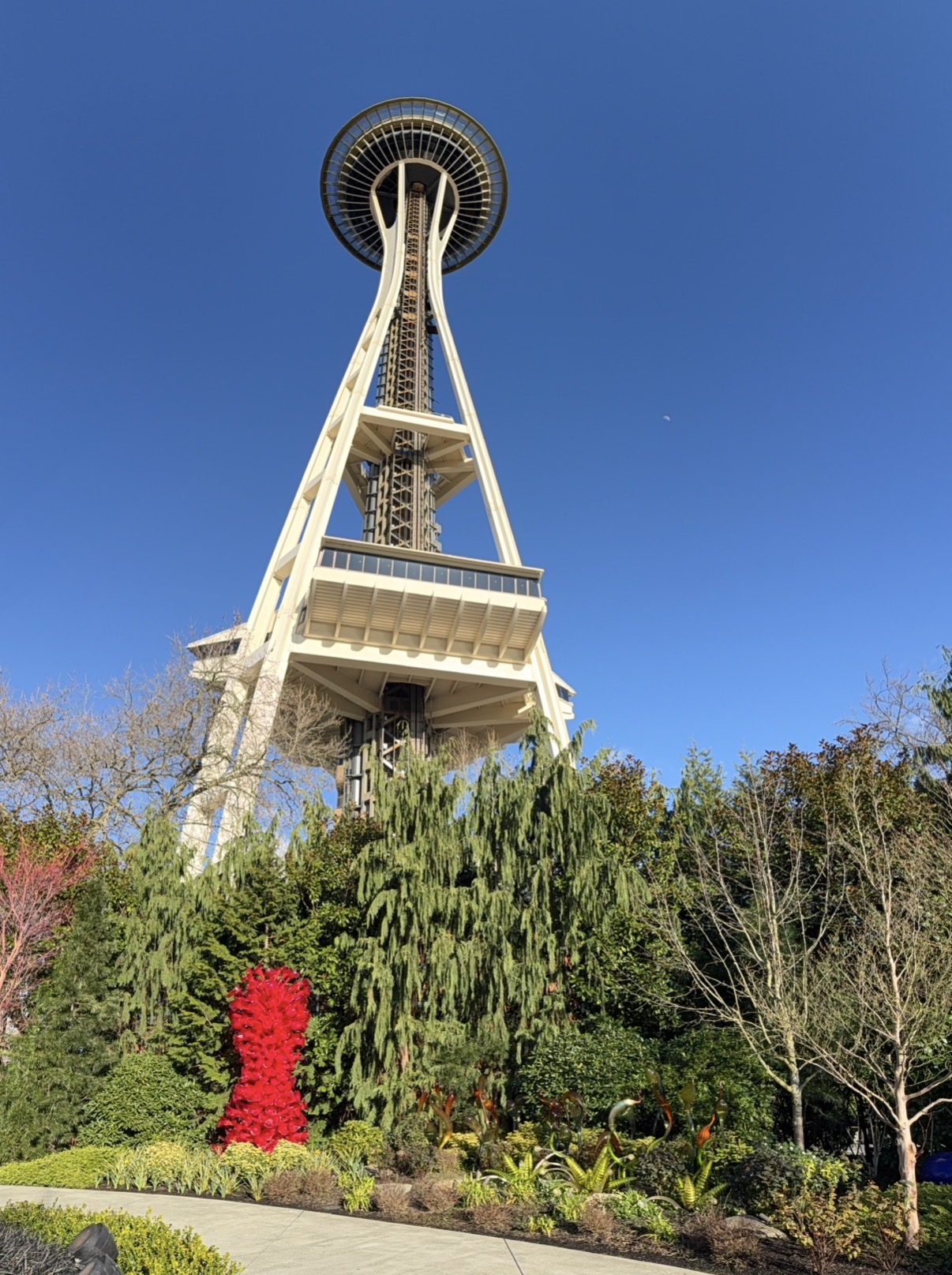 The Space Needle rising above the trees at Seattle Center, seen from Chihuly Garden and Glass