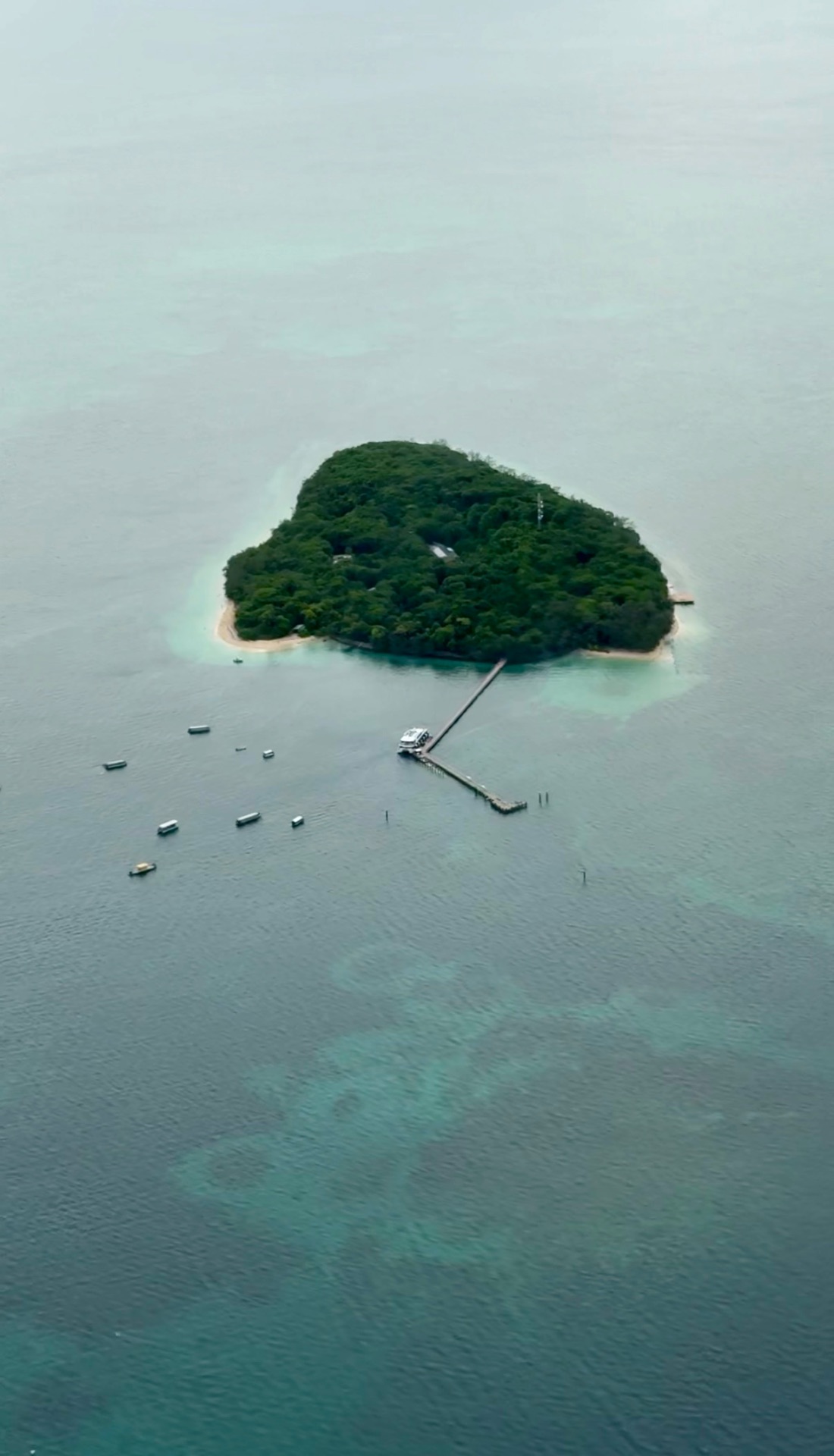 Aerial view of a lush green island with a jetty near Cairns