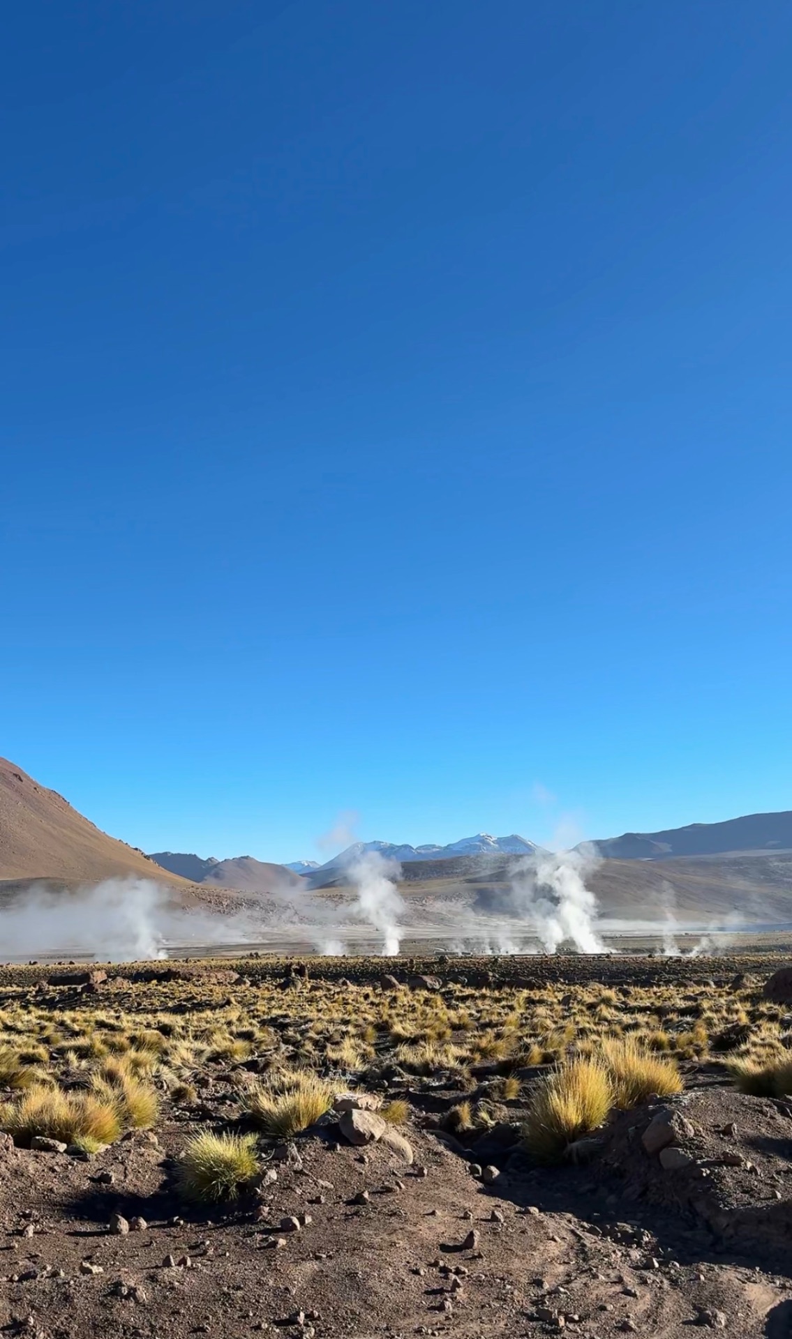 Steam rising from the El Tatio geyser field beneath a deep blue sky with the Andes behind, near San Pedro de Atacama.
